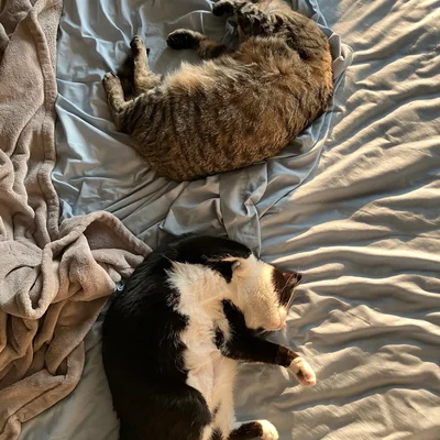 Xena & Midna